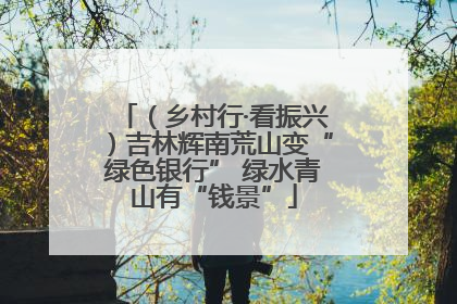 （乡村行·看振兴）吉林辉南荒山变“绿色银行” 绿水青山有“钱景”