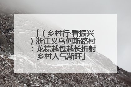 （乡村行·看振兴）浙江义乌何斯路村：龙粽越包越长折射乡村人气渐旺