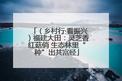 （乡村行·看振兴）福建大田：灵芝香红菇俏 生态林里“种”出共富经