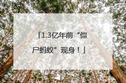 1.3亿年前“僵尸蚂蚁”现身！