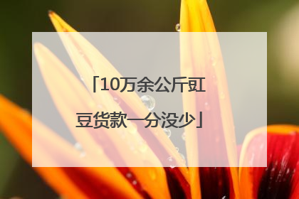 10万余公斤豇豆货款一分没少