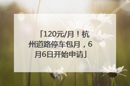 120元/月！杭州道路停车包月，6月6日开始申请