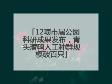 12项市属公园科研成果发布，青头潜鸭人工种群规模破百只