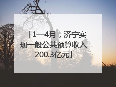 1—4月，济宁实现一般公共预算收入200.3亿元