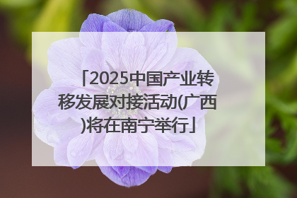 2025中国产业转移发展对接活动(广西)将在南宁举行