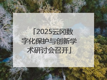 2025云冈数字化保护与创新学术研讨会召开