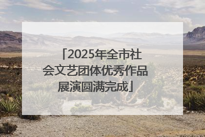 2025年全市社会文艺团体优秀作品展演圆满完成