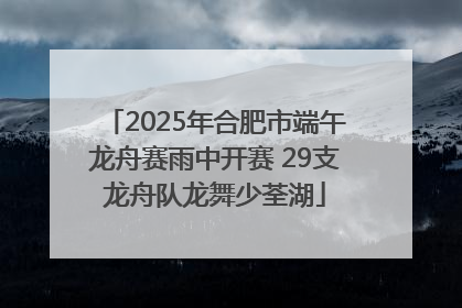 2025年合肥市端午龙舟赛雨中开赛 29支龙舟队龙舞少荃湖