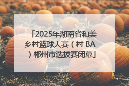 2025年湖南省和美乡村篮球大赛（村 BA）郴州市选拔赛闭幕