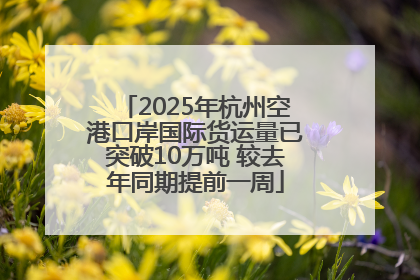 2025年杭州空港口岸国际货运量已突破10万吨 较去年同期提前一周
