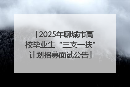 2025年聊城市高校毕业生“三支一扶”计划招募面试公告