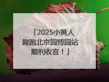 2025小黄人趣跑北京园博园站顺利收官！