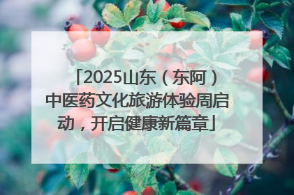 2025山东（东阿）中医药文化旅游体验周启动，开启健康新篇章
