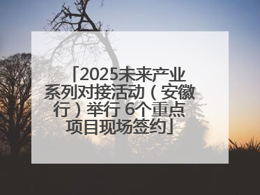2025未来产业系列对接活动（安徽行）举行 6个重点项目现场签约