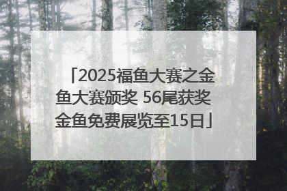 2025福鱼大赛之金鱼大赛颁奖 56尾获奖金鱼免费展览至15日