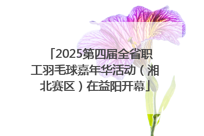 2025第四届全省职工羽毛球嘉年华活动（湘北赛区）在益阳开幕