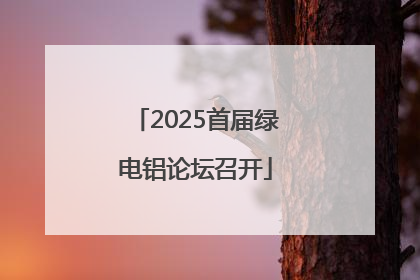 2025首届绿电铝论坛召开