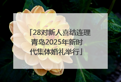 28对新人喜结连理 青岛2025年新时代集体婚礼举行