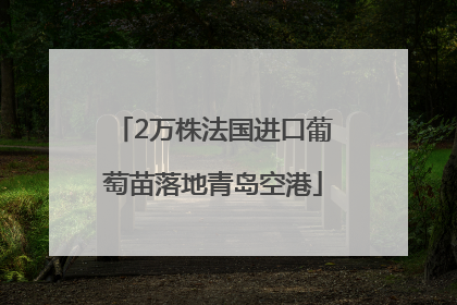 2万株法国进口葡萄苗落地青岛空港