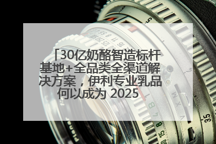 30亿奶酪智造标杆基地+全品类全渠道解决方案，伊利专业乳品何以成为 2025 焙烤展 MV