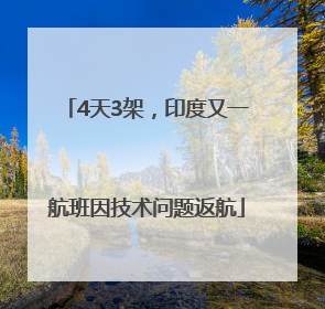 4天3架，印度又一航班因技术问题返航
