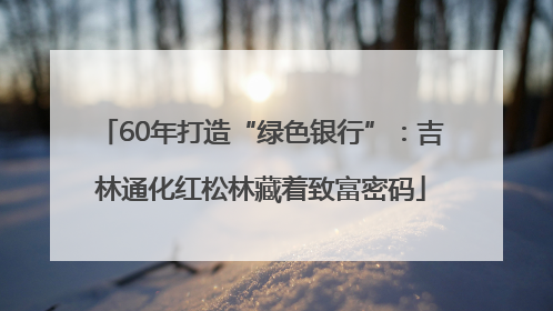 60年打造“绿色银行”：吉林通化红松林藏着致富密码