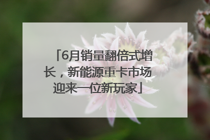 6月销量翻倍式增长，新能源重卡市场迎来一位新玩家