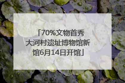 70%文物首秀 大河村遗址博物馆新馆6月14日开馆