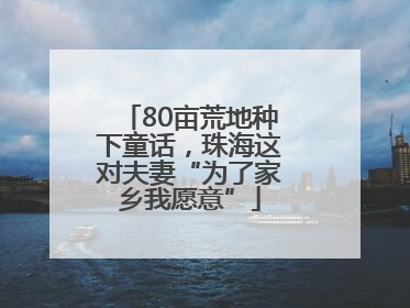 80亩荒地种下童话，珠海这对夫妻“为了家乡我愿意”