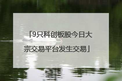 9只科创板股今日大宗交易平台发生交易