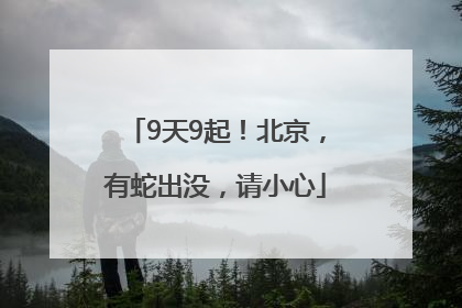9天9起！北京，有蛇出没，请小心