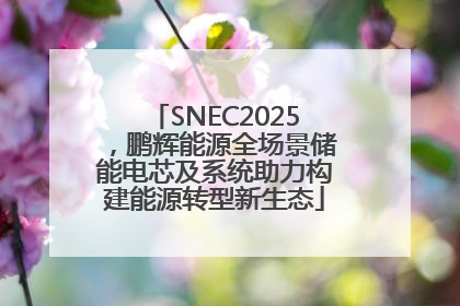 SNEC2025，鹏辉能源全场景储能电芯及系统助力构建能源转型新生态