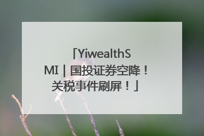YiwealthSMI｜国投证券空降！关税事件刷屏！